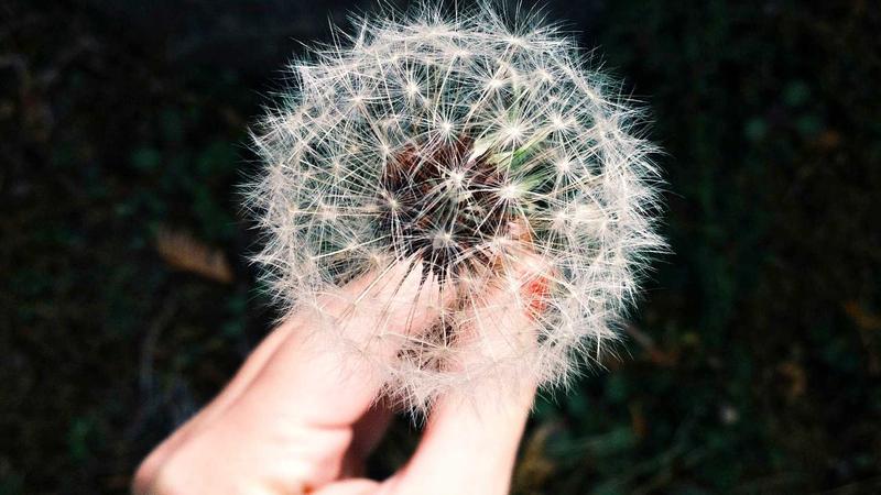 haijiaoshequ 兴趣社群数据驱动案例